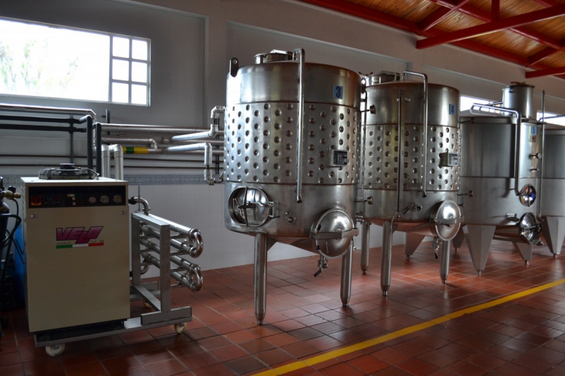 cave-BERRE LES ALPES-min_wine_production_cantine_winery_drink_alcohol_vine_beverage-902036